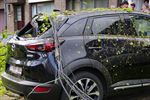 Drie auto's beschadigd door omvallende boom