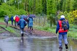 Wandeling in de regen