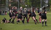 Murphy's dames winnen eindelijk van Pinkbulls