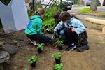 Restauratie Lourdesgrot Heppen