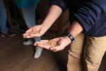 Vlaamse Open Molendag aan de Leyssensmolen