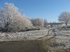 Nog even wat 'koude' foto's