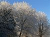 Nog even wat 'koude' foto's