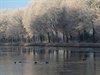 Nog even wat 'koude' foto's
