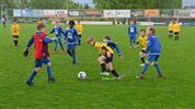 Jeugdig voetbalgeweld op Soccer Trophy Lutlommel