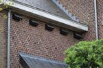 Gierzwaluwen kunnen uw hulp gebruiken