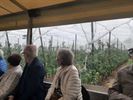 Samana Tervant verkent Sint-Truiden