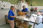 Opendeurdag 't Weyerke