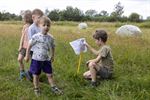 Waterdag in de Vloeiweiden