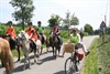 Ponykamp in maffiastijl