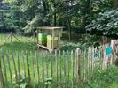 Avontuurlijke bijenwandeling
