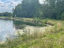 Nog altijd veel wier aan de Paalse Plas