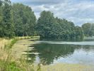 Nog altijd veel wier aan de Paalse Plas