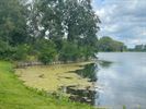 Nog altijd veel wier aan de Paalse Plas