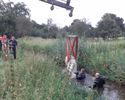 Koe sukkelt in Zwarte Beek