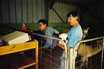 Open Deur Dag na 25 jaar AlpacAvontuur
