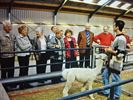 Open Deur Dag na 25 jaar AlpacAvontuur