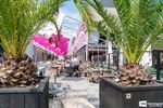 De Lepelstraat kleurt weer helemaal roze...