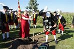 Schutterij Sint-Anna plant derde koningsboom