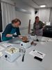Chocolade workshop Ferm Ladies Koersel