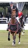 Danny Van den Bosch wint in Valkenswaard