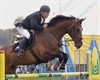 Jumping: Overpeltenaren winnen in Millen