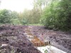 Werken vernatting natuurgebied  ’t Plat gestart