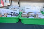 Maand van de markt: Linda met haar bakproducten