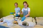 Creatieve voorbereiding Beeldige Kinderen