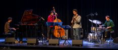 B-Jazz Contest en Pelt Jazz