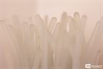 7 kunstenaars stellen tentoon in Kulav Gallery