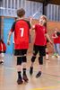 Zowel volleyjongens als -meisjes U11 kampioen