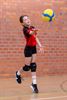 Zowel volleyjongens als -meisjes U11 kampioen