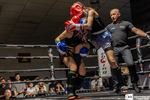 Light Edition Fights at the Border