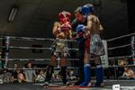 Light Edition Fights at the Border