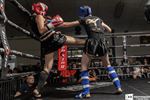 Light Edition Fights at the Border