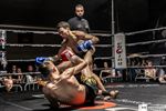 Light Edition Fights at the Border