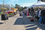 Top Hollands Weekend op camping Blauwe Meer