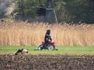 Ongewenst bezoek op het Hageven