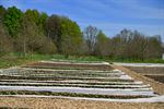 Cas Vanzeer opent regeneratieve boerderij