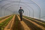 Cas Vanzeer opent regeneratieve boerderij