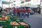 Muzikale zonneschijn op de markt: Brassed Up