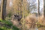 De Grote Fossé, een pareltje met historische roots