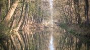 De Grote Fossé, een pareltje met historische roots