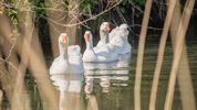 De Grote Fossé, een pareltje met historische roots