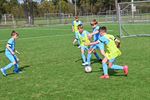 Voetballen als De Bruyne en scoren als Håland