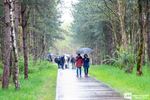 Natte maar lekkere smaakwandeling Werkplaatsen
