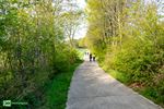 Mooi weer en veel deelnemers voor de Taffeltrail