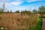 Mooi weer en veel deelnemers voor de Taffeltrail