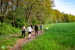 Mooi weer en veel deelnemers voor de Taffeltrail